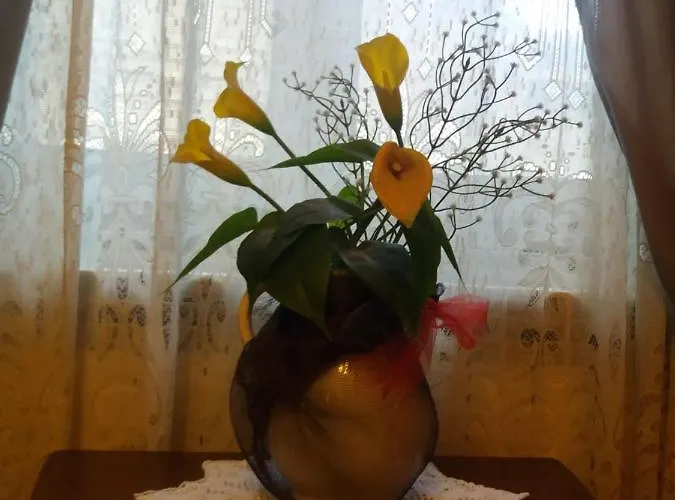 Отель типа 